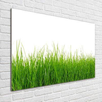 Glass acrylic wall art Grass