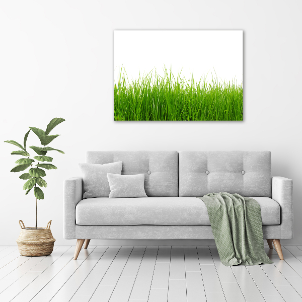 Glass acrylic wall art Grass