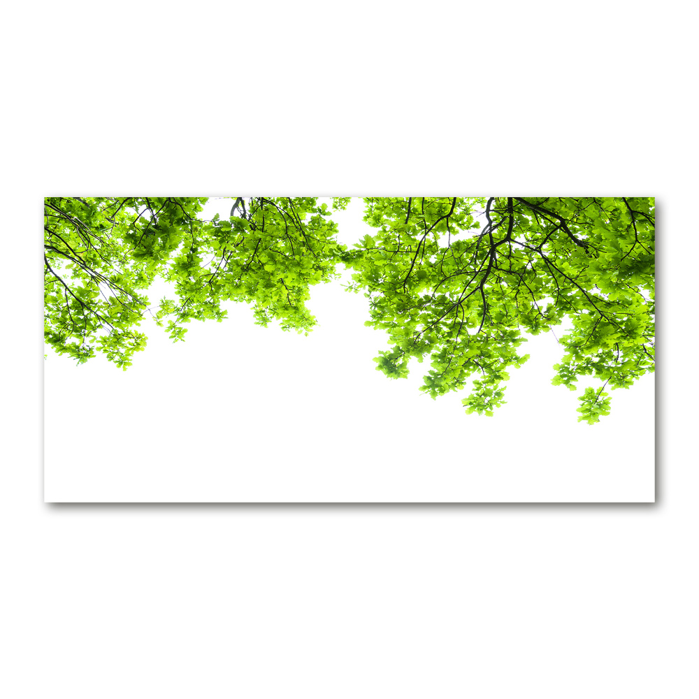 Glass acrylic wall art Oak leaves