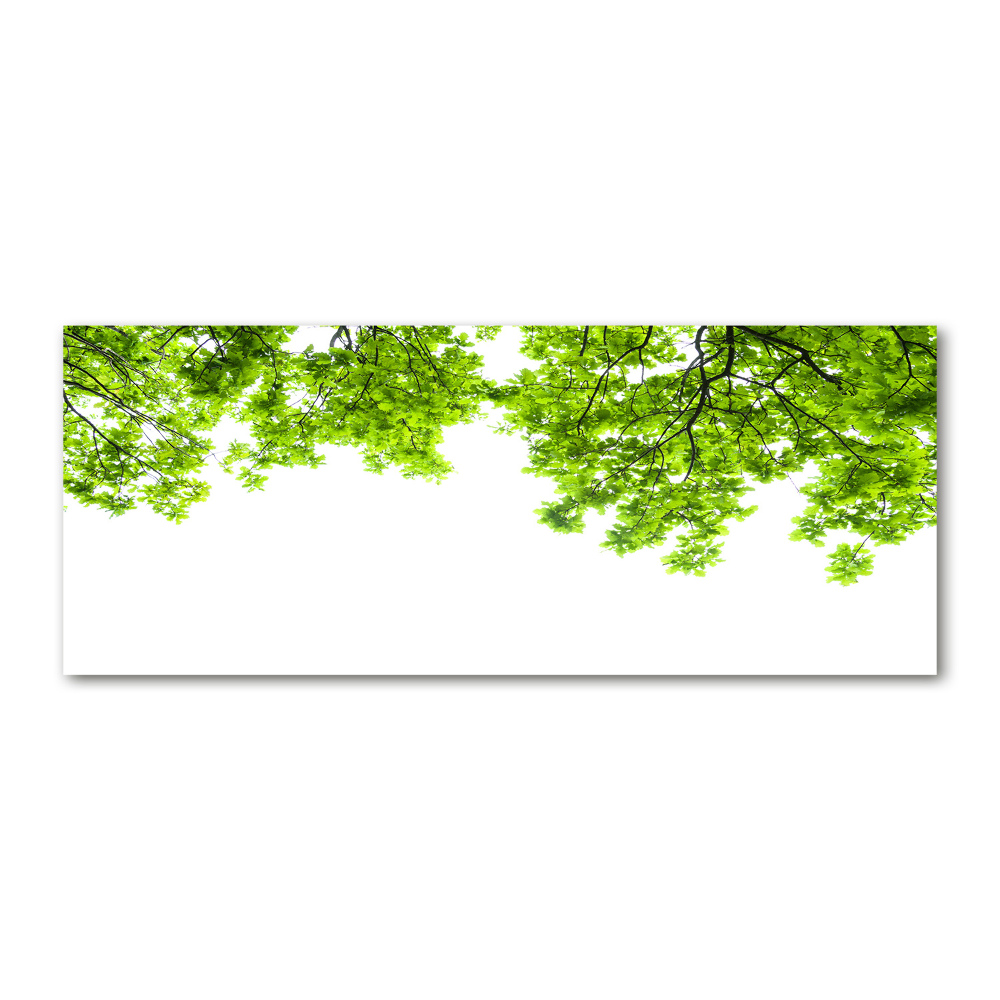 Glass acrylic wall art Oak leaves