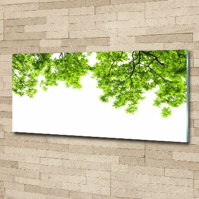 Glass acrylic wall art Oak leaves