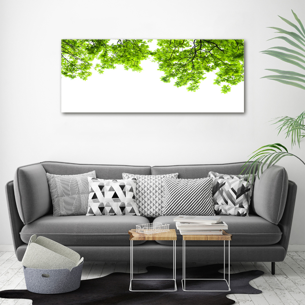 Glass acrylic wall art Oak leaves