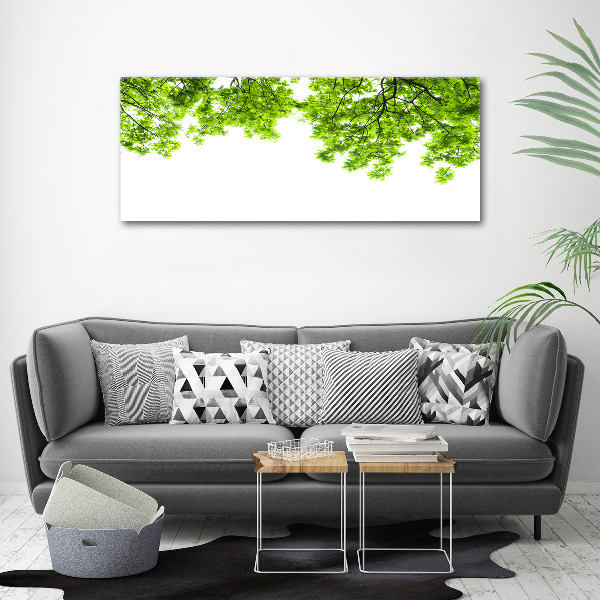 Glass acrylic wall art Oak leaves