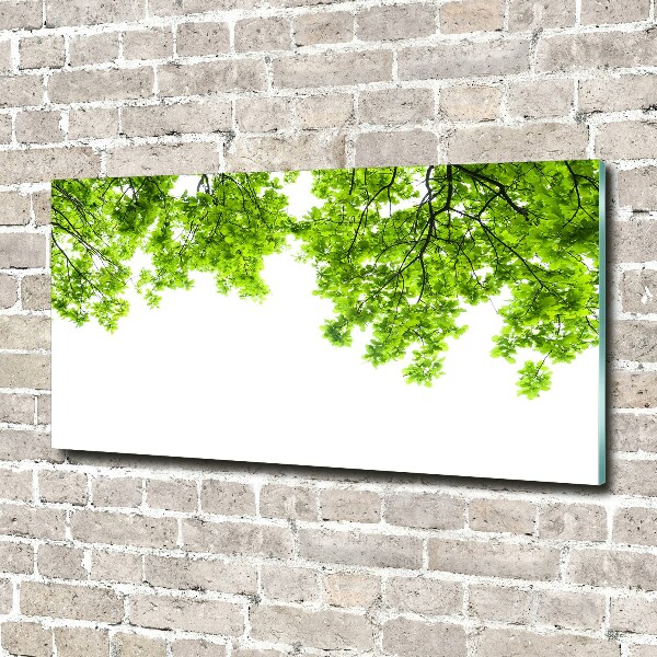 Glass acrylic wall art Oak leaves