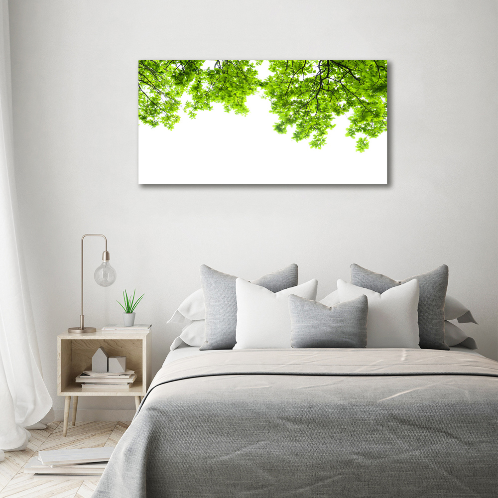 Glass acrylic wall art Oak leaves