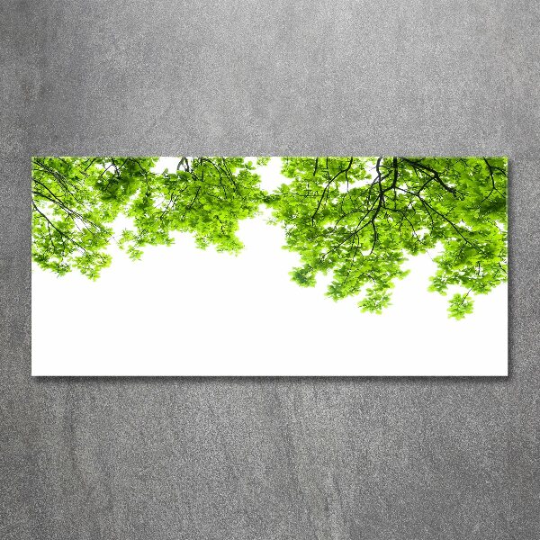 Glass acrylic wall art Oak leaves