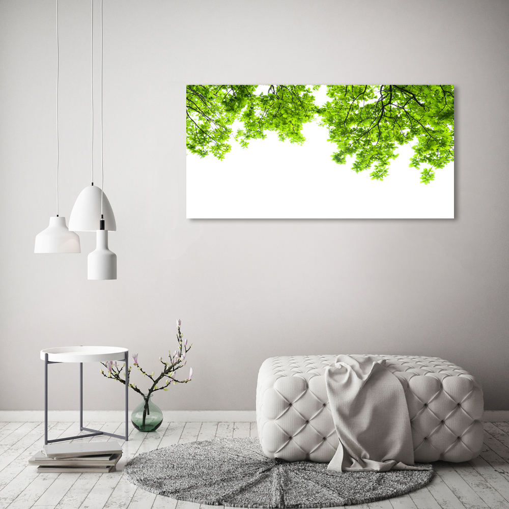 Glass acrylic wall art Oak leaves