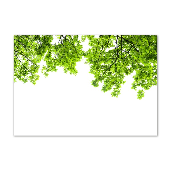 Glass acrylic wall art Oak leaves