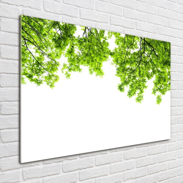 Glass acrylic wall art Oak leaves