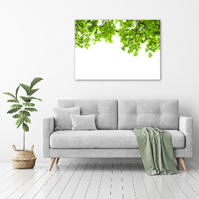 Glass acrylic wall art Oak leaves