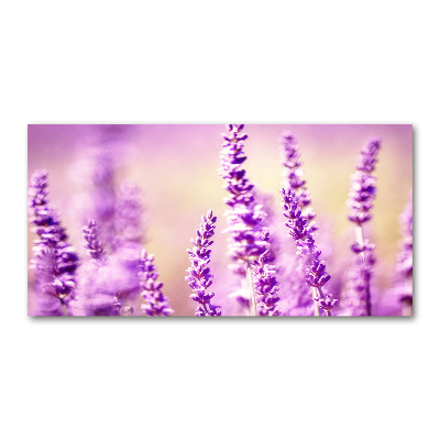 Glass acrylic wall art Lavender