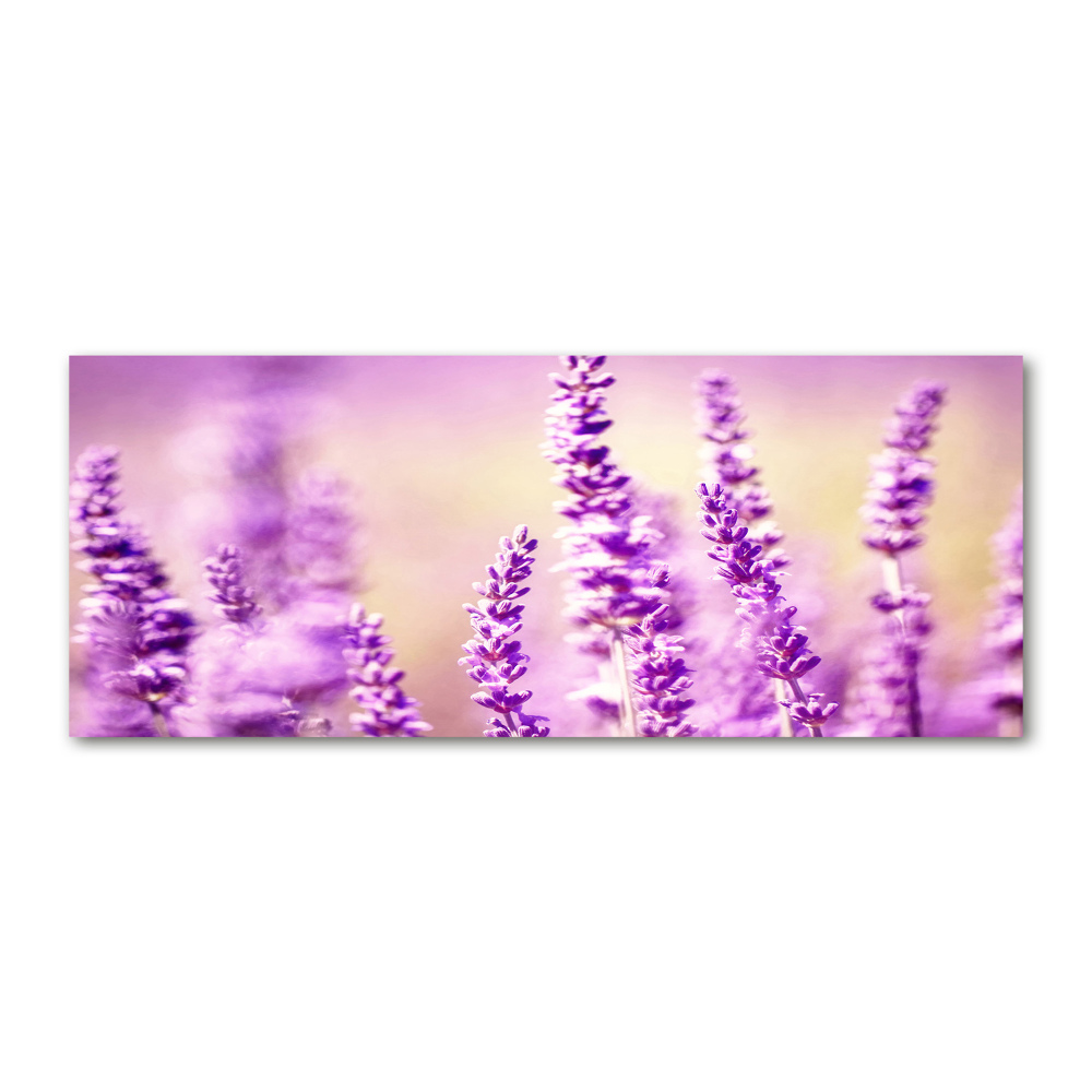 Glass acrylic wall art Lavender