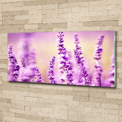 Glass acrylic wall art Lavender