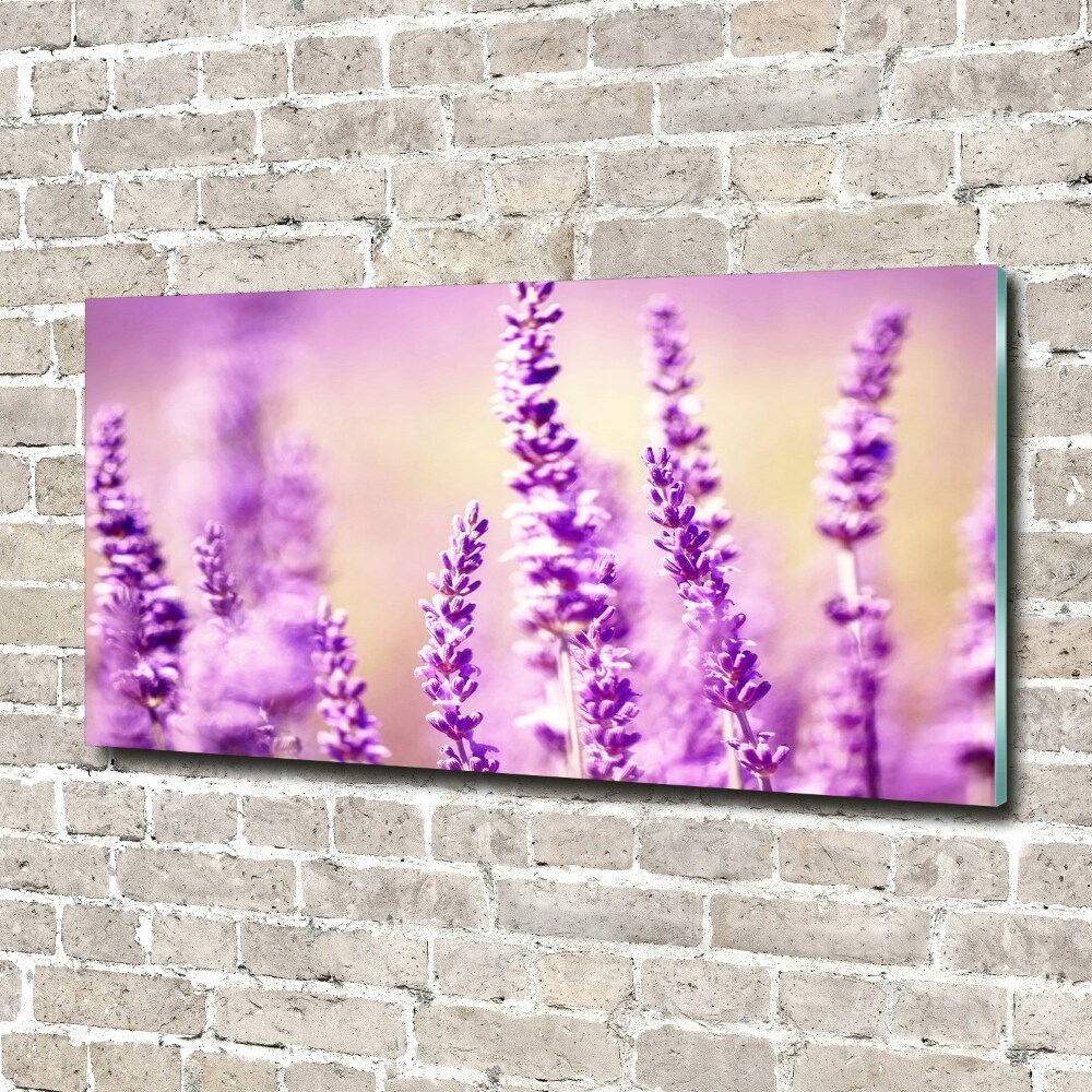 Glass acrylic wall art Lavender