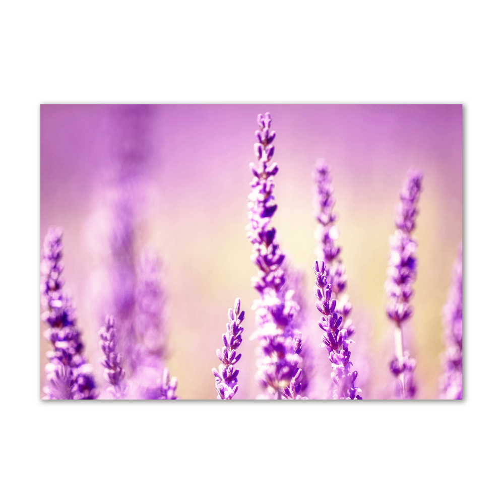 Glass acrylic wall art Lavender