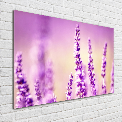 Glass acrylic wall art Lavender