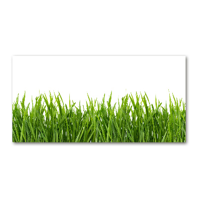 Glass acrylic wall art Grass