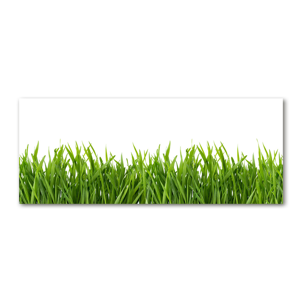 Glass acrylic wall art Grass