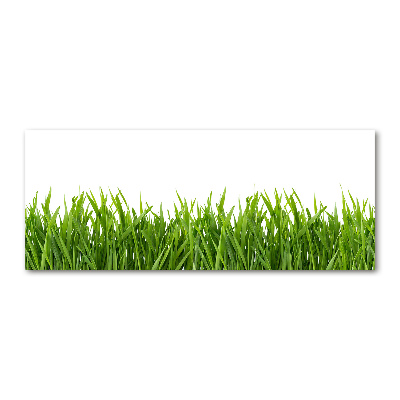 Glass acrylic wall art Grass