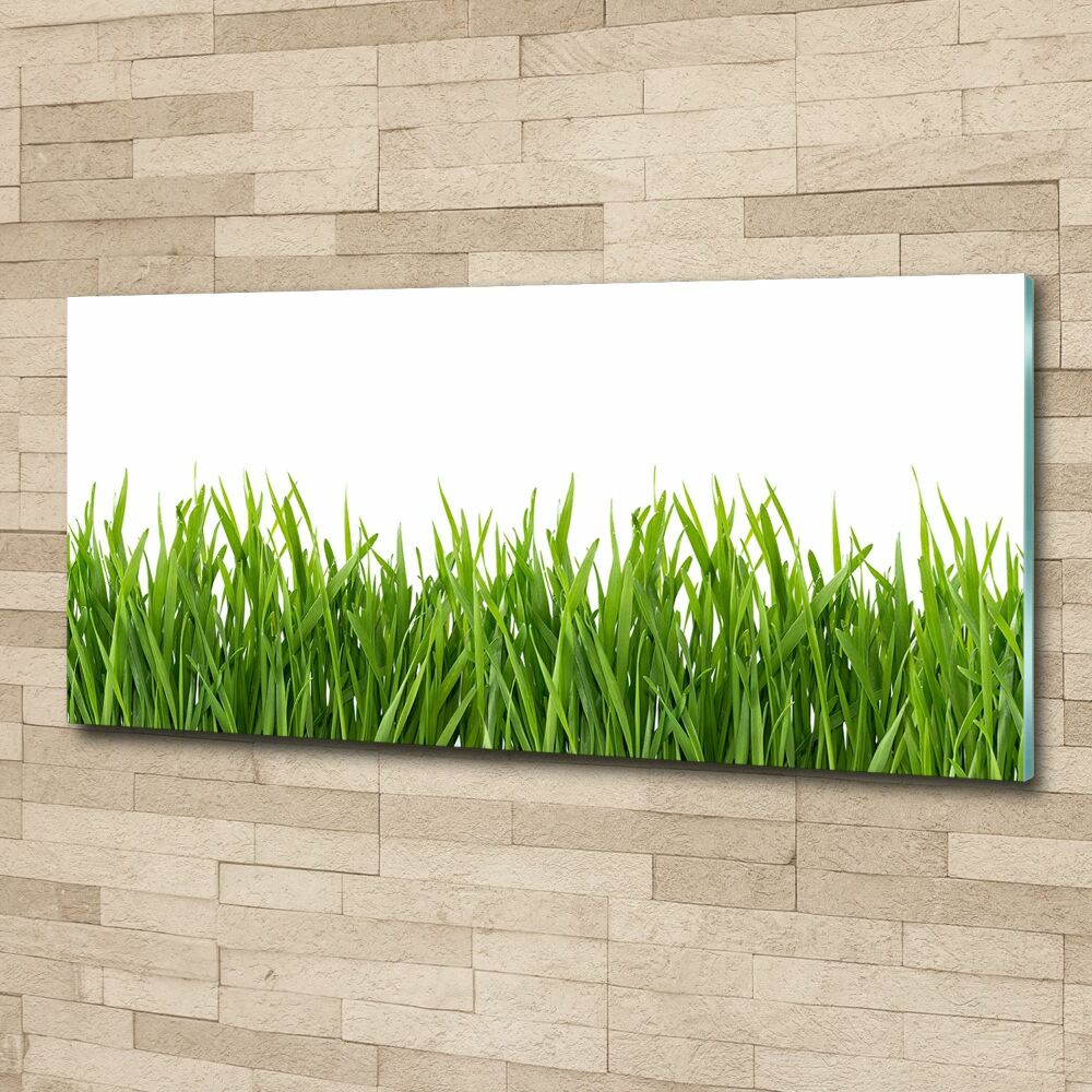 Glass acrylic wall art Grass