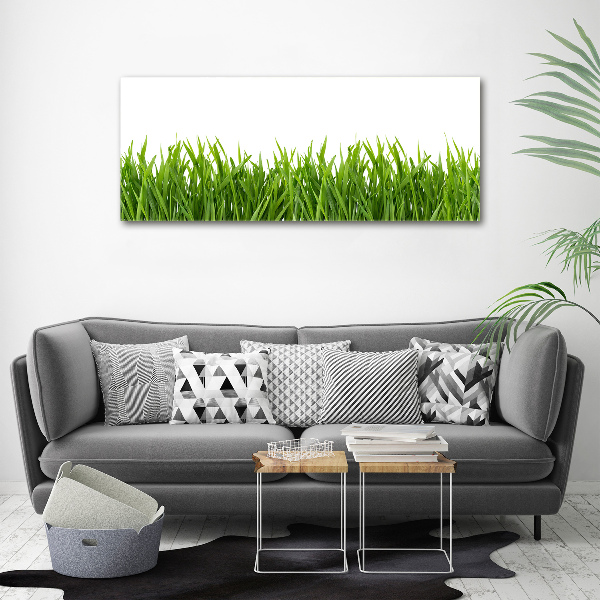 Glass acrylic wall art Grass