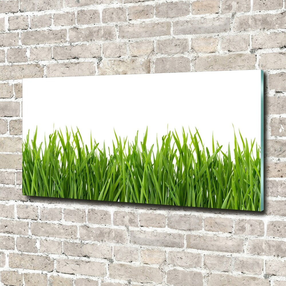 Glass acrylic wall art Grass