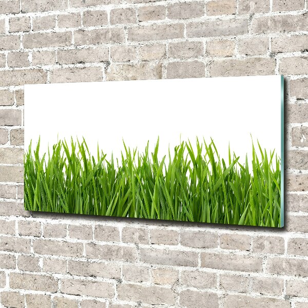 Glass acrylic wall art Grass