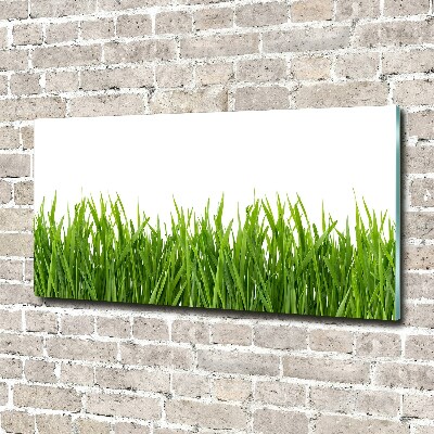 Glass acrylic wall art Grass