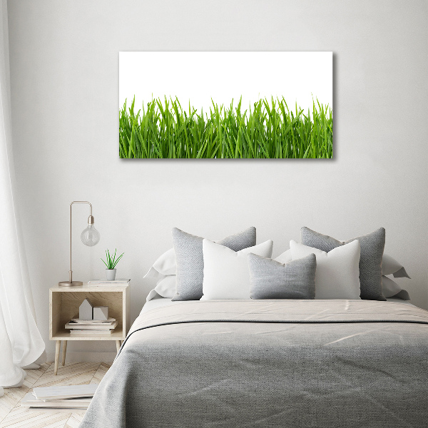 Glass acrylic wall art Grass