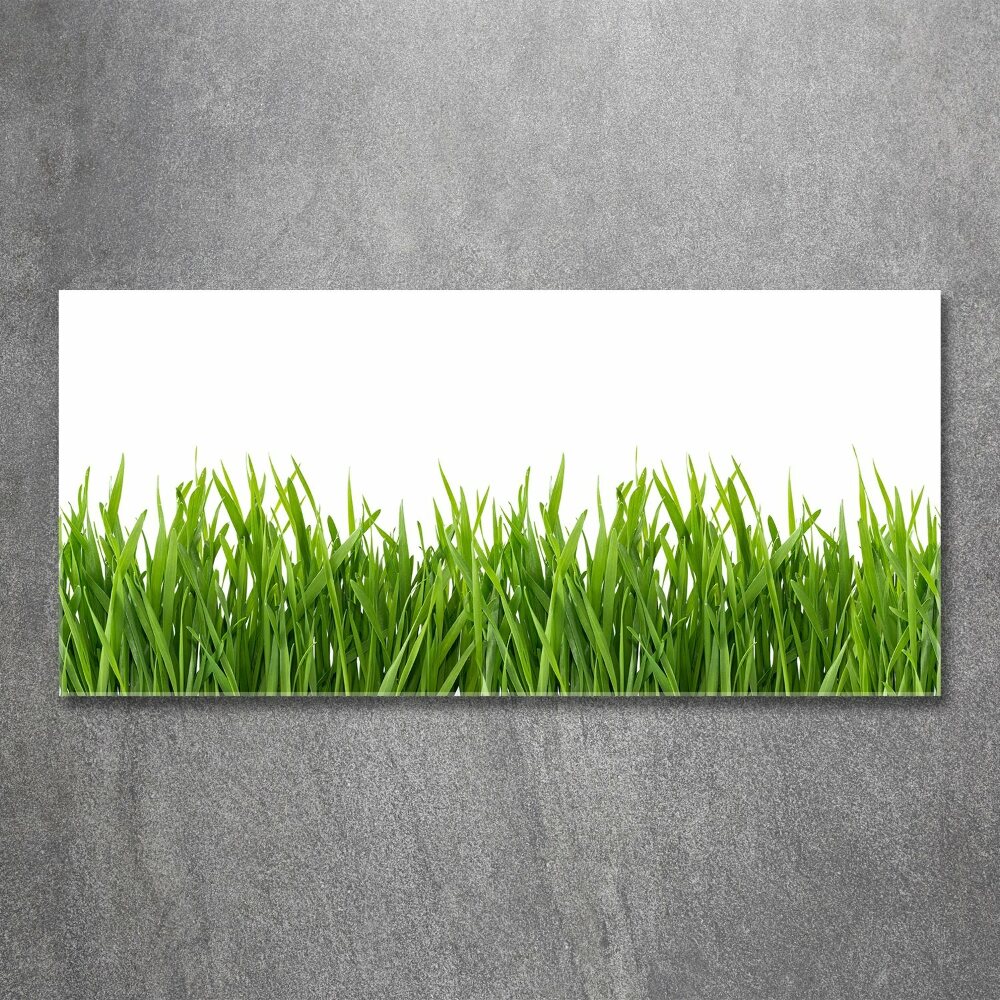 Glass acrylic wall art Grass