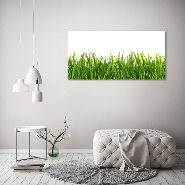 Glass acrylic wall art Grass