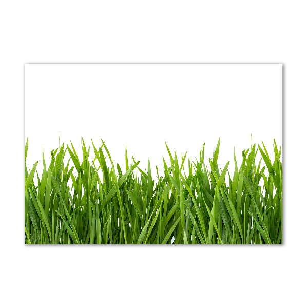 Glass acrylic wall art Grass