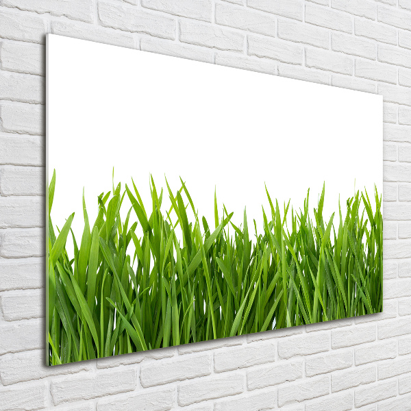 Glass acrylic wall art Grass