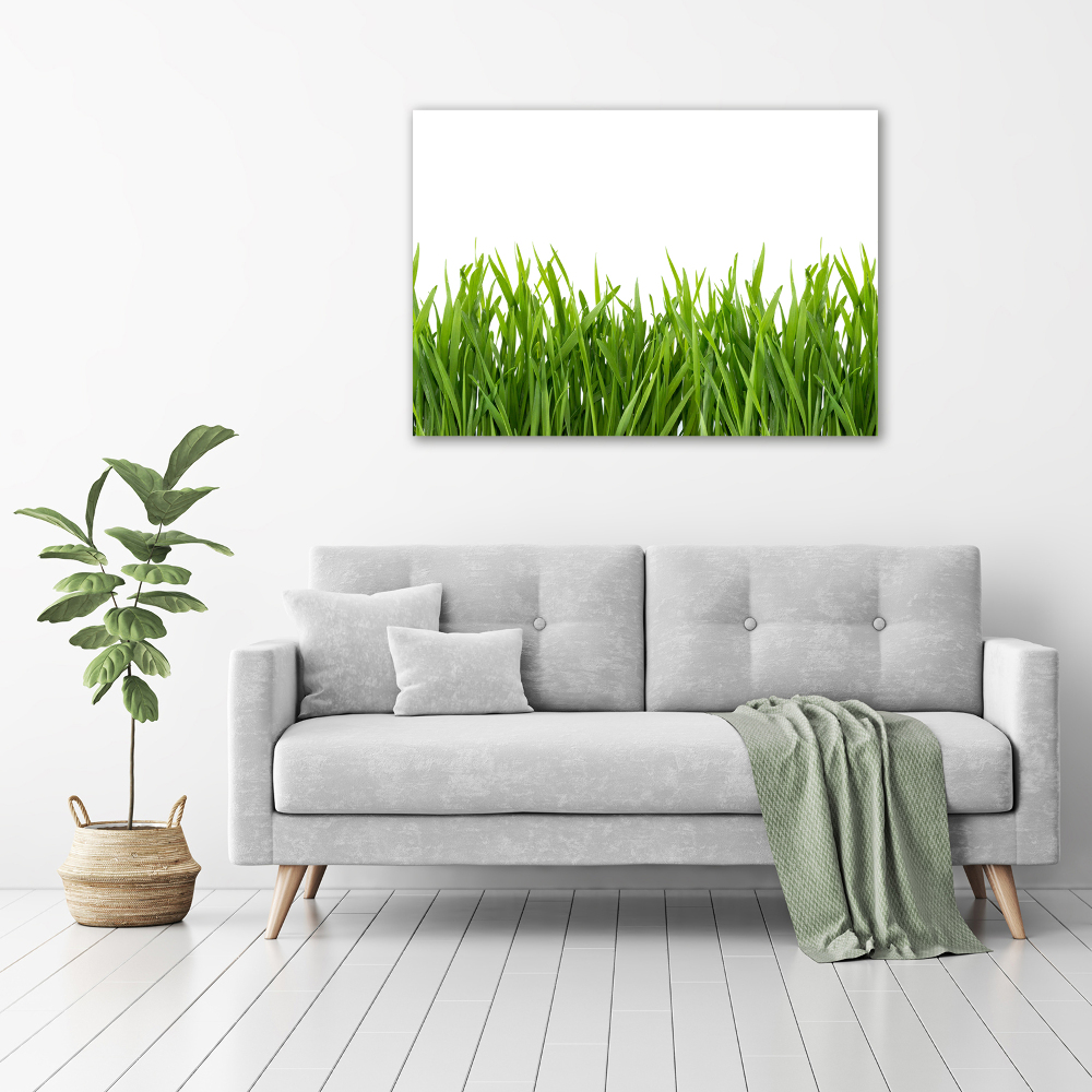 Glass acrylic wall art Grass