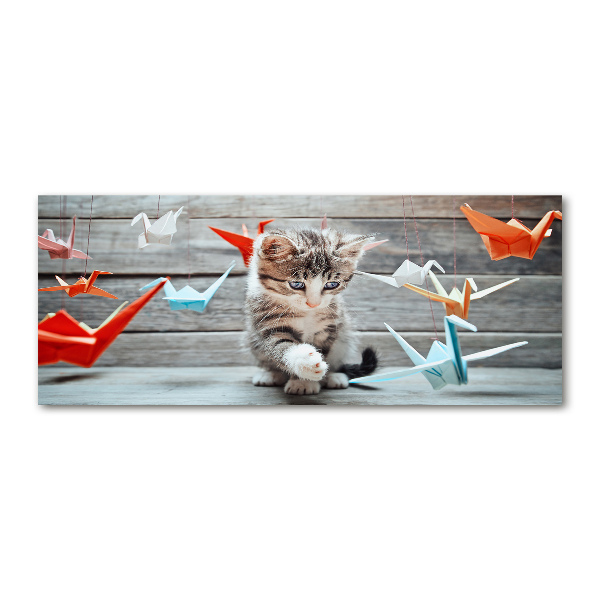 Acrylic wall art Cat birds of paper