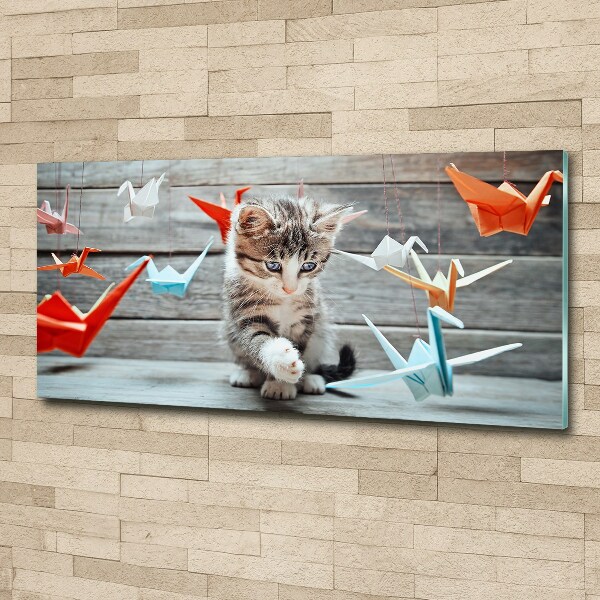 Acrylic wall art Cat birds of paper