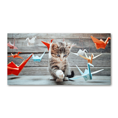 Acrylic wall art Cat birds of paper