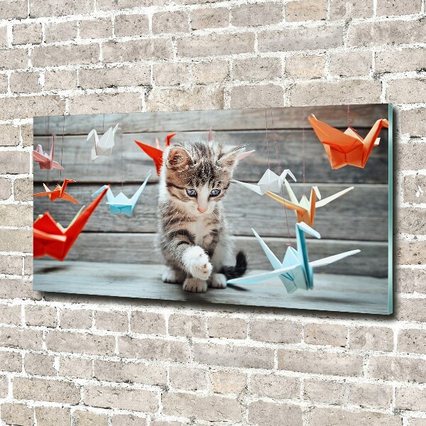 Acrylic wall art Cat birds of paper