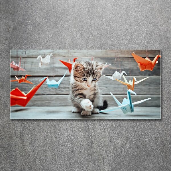 Acrylic wall art Cat birds of paper