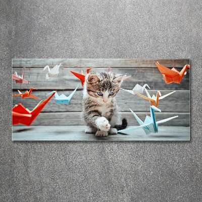 Acrylic wall art Cat birds of paper