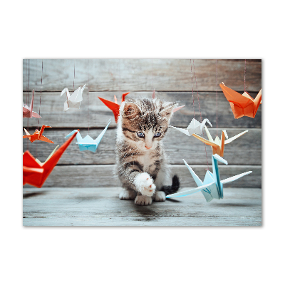 Acrylic wall art Cat birds of paper