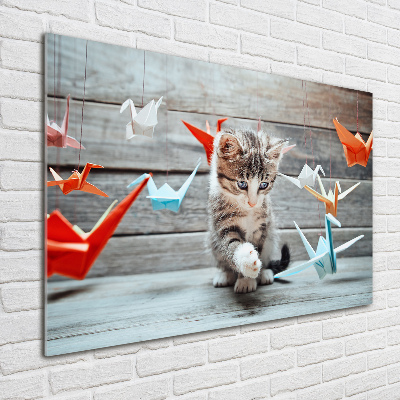 Acrylic wall art Cat birds of paper