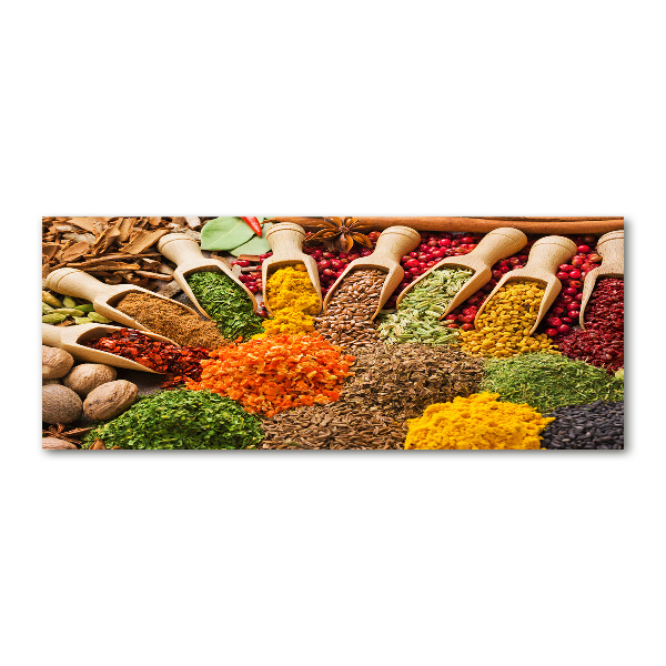 Acrylic print Colorful spices