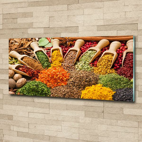 Acrylic print Colorful spices