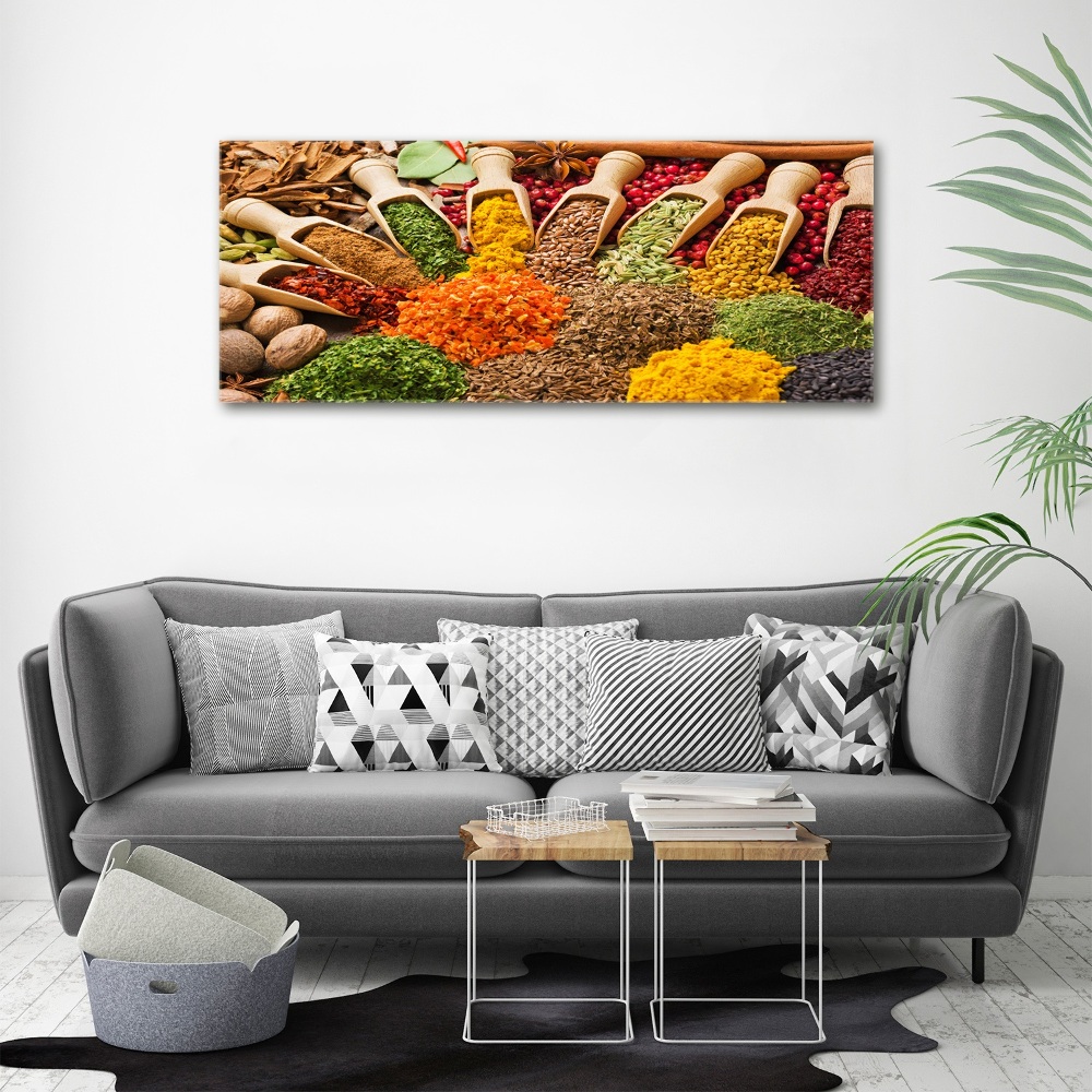 Acrylic print Colorful spices