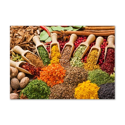 Acrylic print Colorful spices