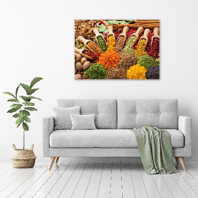 Acrylic print Colorful spices