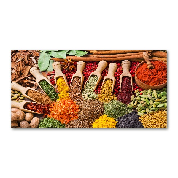 Acrylic print Colorful spices