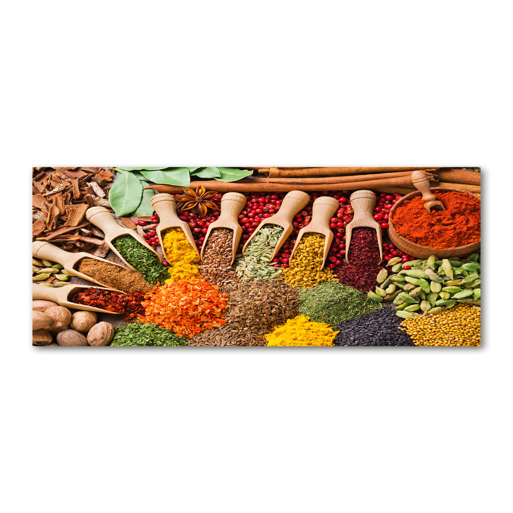 Acrylic print Colorful spices