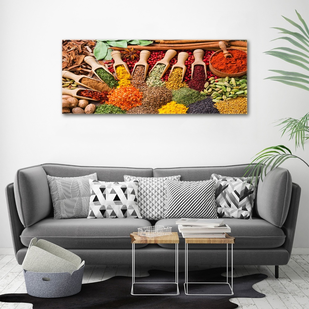 Acrylic print Colorful spices